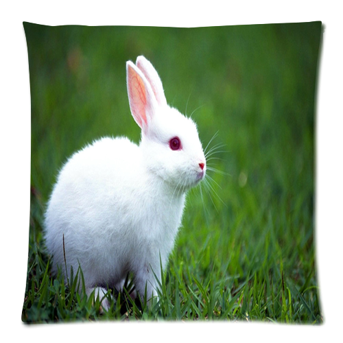 white-rabbit-pillow-case-11408-901.png