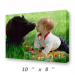 Canvas Print 10" x 8"