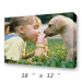 Canvas Print 18" x 12"