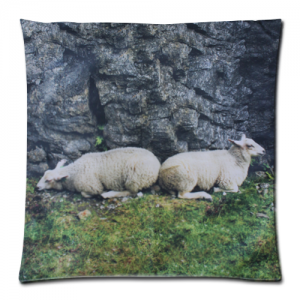 Custom Zippered Pillow Case 18"x18"(two sides)