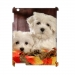 Case for iPad2 3G Wifi 3D