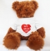 Cute Brown Teddy Bear (Front side)