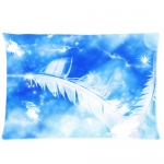 Custom Zippered Pillow Cases 20x30 (one side)