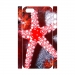 Custom Case for iPhone 5,5S 3D