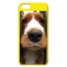 Custom Colorful Cases for iPhone 5C